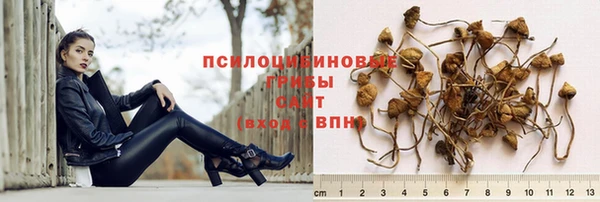 не бодяженный Арсеньев