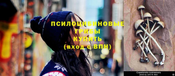 не бодяженный Арсеньев