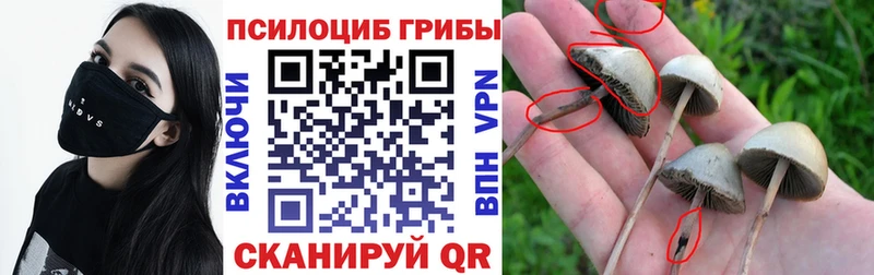 наркота  Ядрин  ссылка на мегу сайт  Псилоцибиновые грибы прущие грибы 