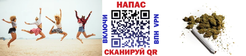 дарнет шоп  Ядрин  Шишки марихуана VHQ 